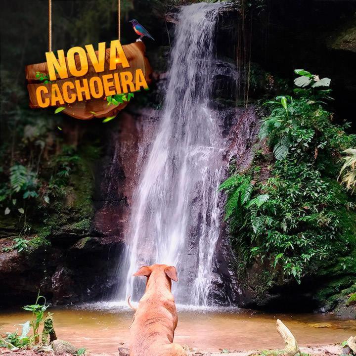 Hotel Fazenda Selva Do Mato Limpo Parapeúna Exteriér fotografie