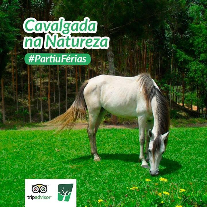 Hotel Fazenda Selva Do Mato Limpo Parapeúna Exteriér fotografie